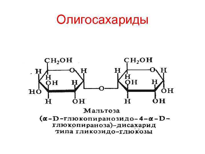 Химические свойства мальтозы. Мальтоза это олигосахарид. Строение олигосахаридов. Основные представители олигосахаридов. Химическая структура олигосахаридов.