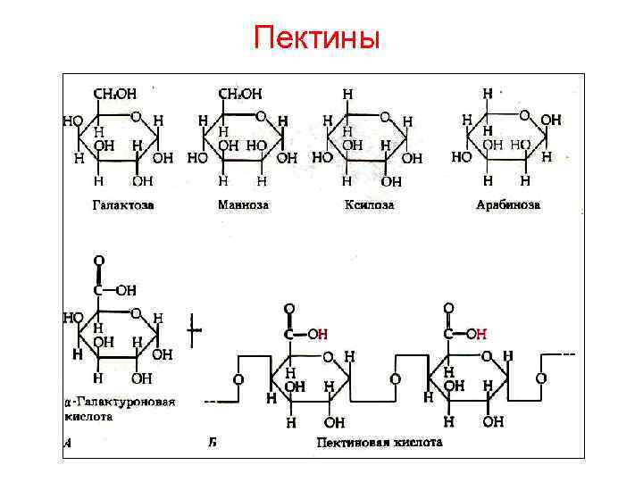 Пектины 