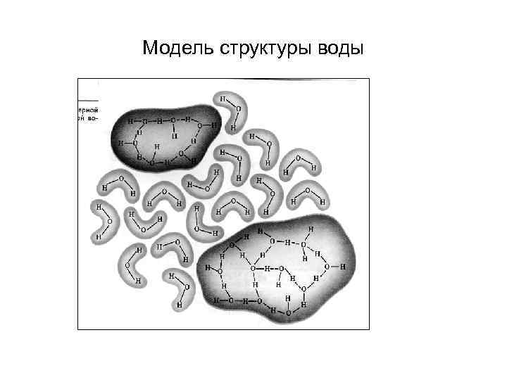 Модель структуры воды 