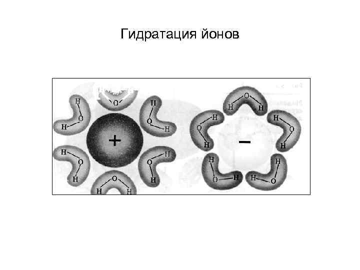 Гидратация йонов 