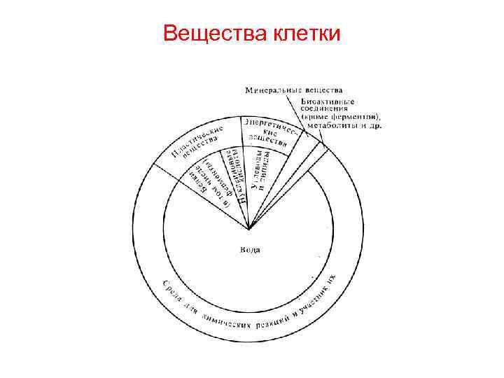 Вещества клетки 