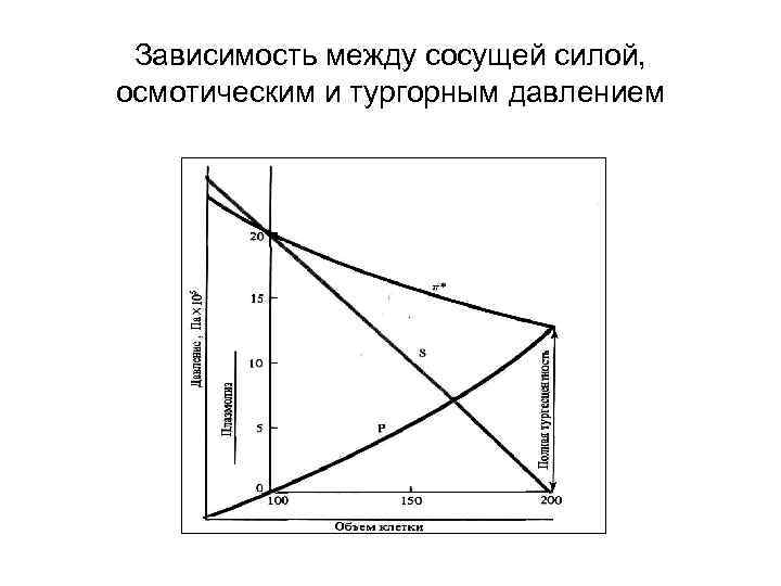 Зависимость между сосущей силой, осмотическим и тургорным давлением 