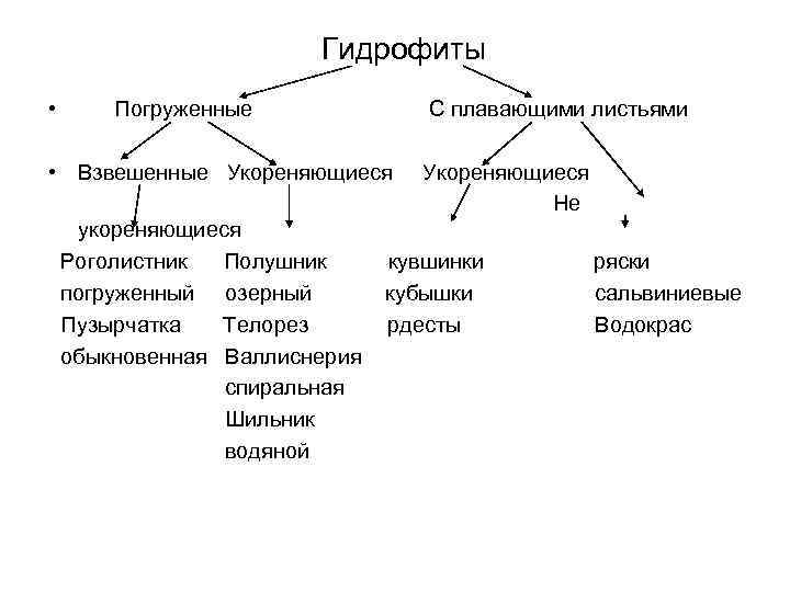 Гидрофиты • Погруженные С плавающими листьями • Взвешенные Укореняющиеся укореняющиеся Роголистник Полушник погруженный озерный