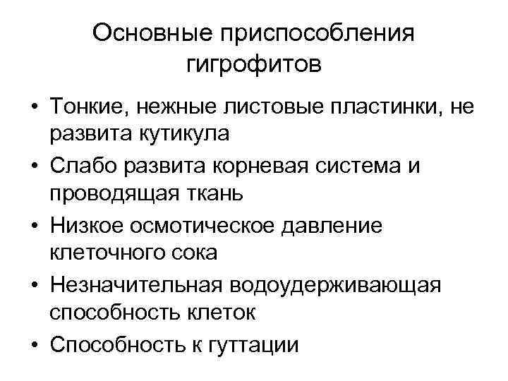 Основные приспособления гигрофитов • Тонкие, нежные листовые пластинки, не развита кутикула • Слабо развита