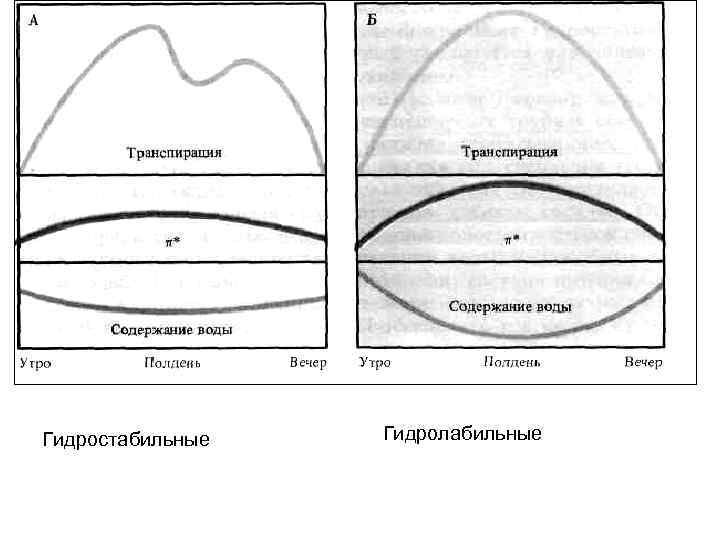 Гидростабильные Гидролабильные 
