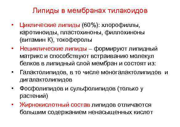 Липиды в мембранах тилакоидов • Циклические липиды (60%): хлорофиллы, каротиноиды, пластохиноны, филлохиноны (витамин К),