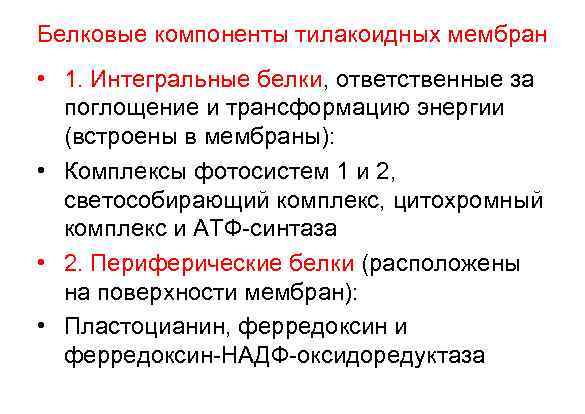 Белковые компоненты тилакоидных мембран • 1. Интегральные белки, ответственные за поглощение и трансформацию энергии