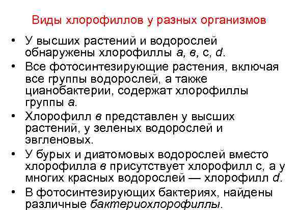 Виды хлорофиллов у разных организмов • У высших растений и водорослей обнаружены хлорофиллы а,