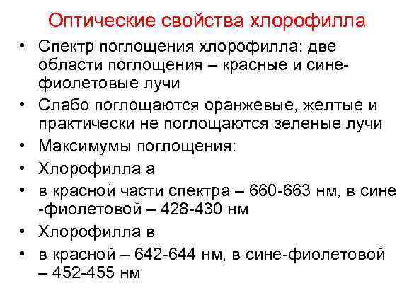 Оптические свойства хлорофилла • Спектр поглощения хлорофилла: две области поглощения – красные и синефиолетовые