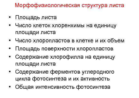 Морфофизиологическая структура листа • Площадь листа • Число клеток хлоренхимы на единицу площади листа
