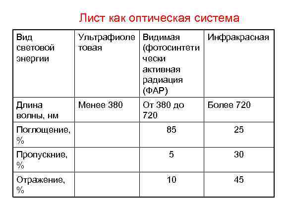 Лист как оптическая система Вид световой энергии Ультрафиоле Видимая Инфракрасная товая (фотосинтети чески активная