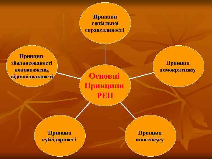 Принцип соціальної справедливості Принцип збалансованості повноважень, відповідальності Принцип субсідарності Основні Принципи РЕП Принцип демократизму