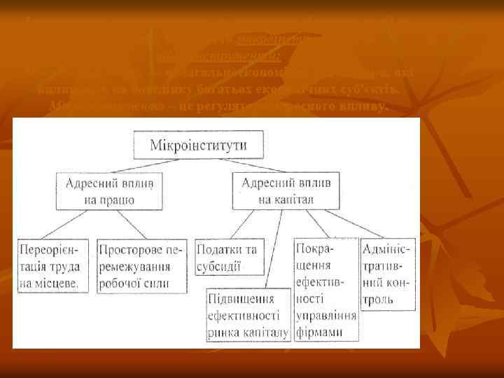 Інструменти систематизують за ступенем універсальності та широті впливу, виділяючи макроінструменти та мікроінструменти: Макроінструменти —