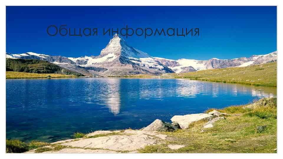 Общая информация 