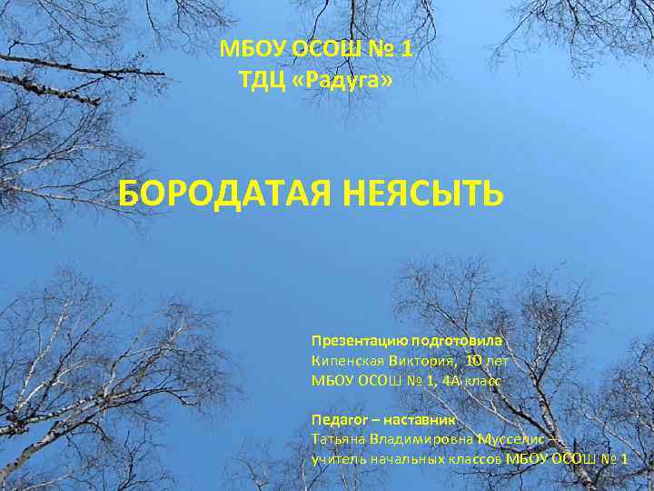 МБОУ ОСОШ № 1 ТДЦ «Радуга» БОРОДАТАЯ НЕЯСЫТЬ Презентацию подготовила Кипенская Виктория, 10 лет