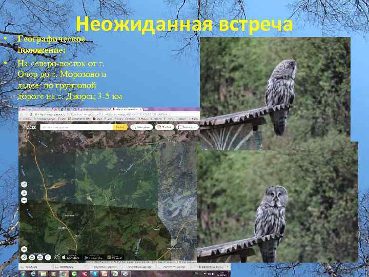  • • Неожиданная встреча Географическое положение: На северо-восток от г. Очер до с.