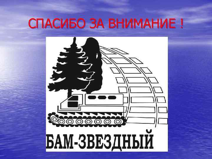 СПАСИБО ЗА ВНИМАНИЕ ! 