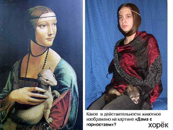 Какое в действительности животное изображено на картине «Дама с горностаем» ? хорёк 