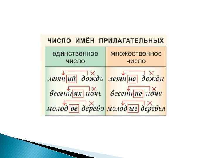 Число имени прилагательного 2 класс презентация