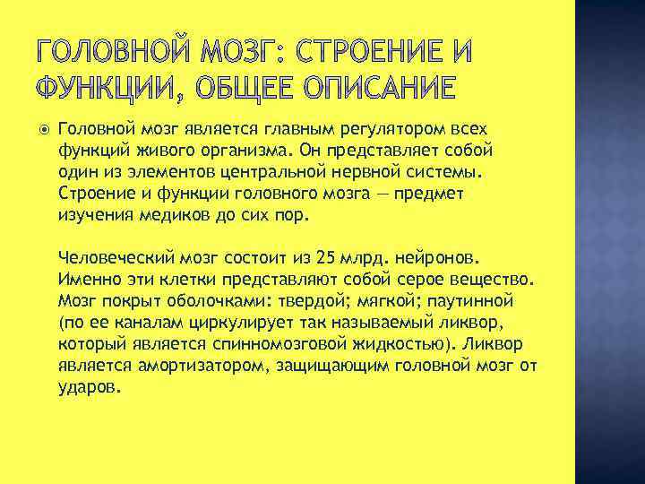  Головной мозг является главным регулятором всех функций живого организма. Он представляет собой один