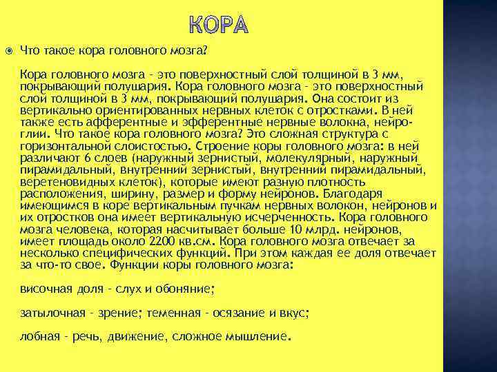  Что такое кора головного мозга? Кора головного мозга – это поверхностный слой толщиной
