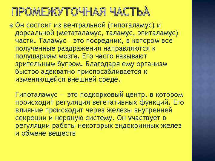  Он состоит из вентральной (гипоталамус) и дорсальной (метаталамус, эпиталамус) части. Таламус – это