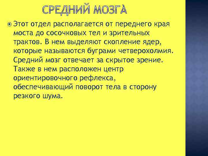  Этот отдел располагается от переднего края моста до сосочковых тел и зрительных трактов.