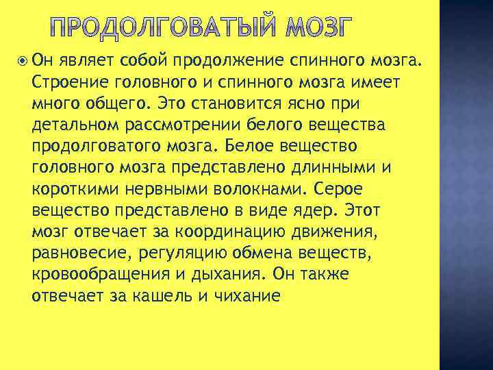  Он являет собой продолжение спинного мозга. Строение головного и спинного мозга имеет много