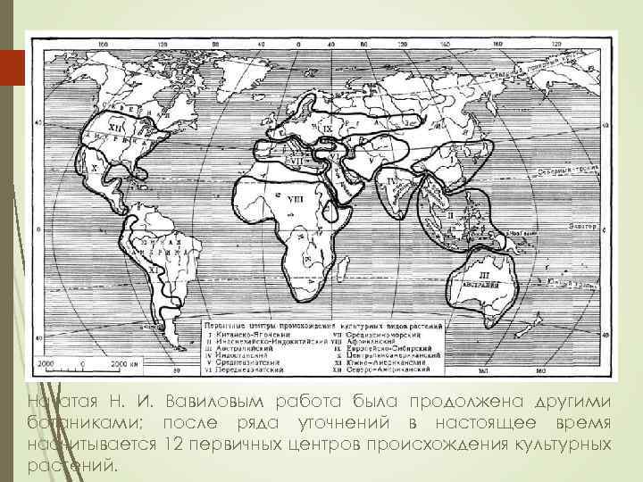 Центры происхождения культурных растений презентация 10 класс