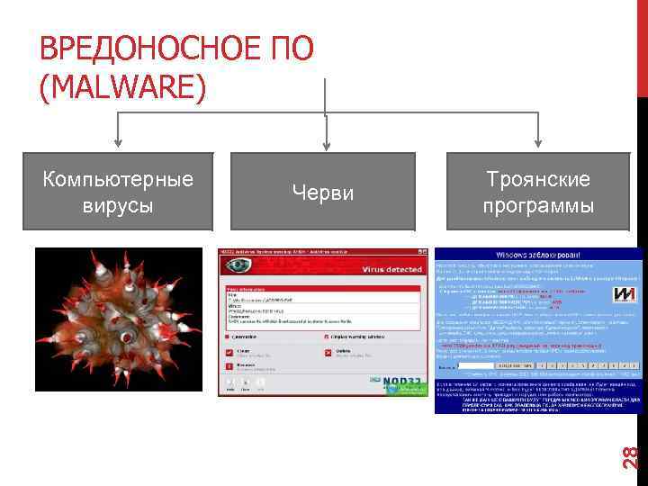 ВРЕДОНОСНОЕ ПО (MALWARE) Черви Троянские программы 28 Компьютерные вирусы 