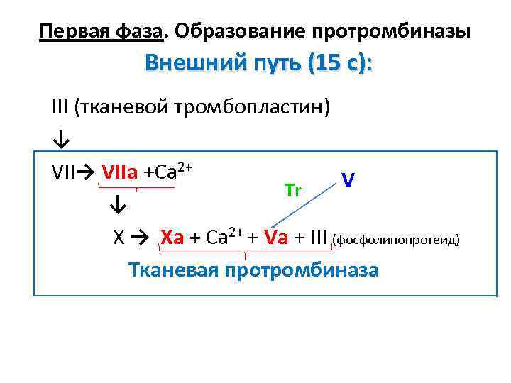 Первая фаза. Образование протромбиназы Внешний путь (15 с): III (тканевой тромбопластин) ↓ VII→ VIIа