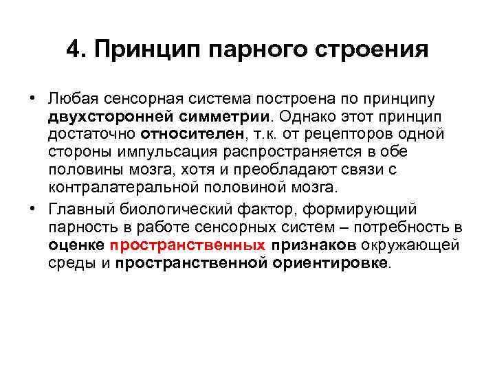 4. Принцип парного строения • Любая сенсорная система построена по принципу двухсторонней симметрии. Однако