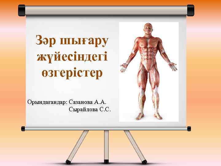 Зәр шығару жүйесіндегі өзгерістер Орындағандар: Сазанова А. А. Сырайлова С. С. 