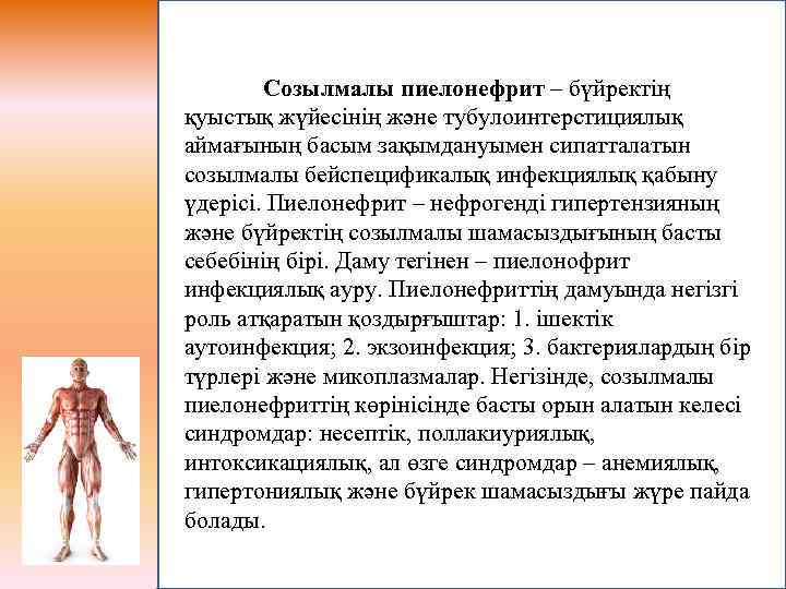 Созылмалы пиелонефрит – бүйректің қуыстық жүйесінің және тубулоинтерстициялық аймағының басым зақымдануымен сипатталатын созылмалы бейспецификалық