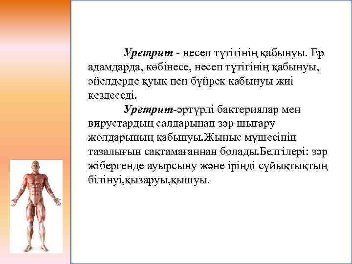 Уретрит - несеп түтігінің қабынуы. Ер адамдарда, көбінесе, несеп түтігінің қабынуы, әйелдерде қуық пен