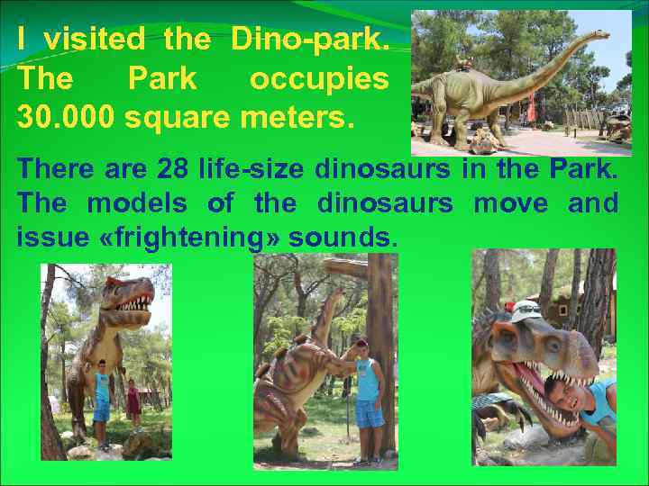 I visited the Dino-park. The Park occupies 30. 000 square meters. There are 28