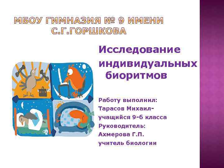 Исследование индивидуальных биоритмов Работу выполнил: Тарасов Михаилучащийся 9 -б класса Руководитель: Ахмерова Г. П.