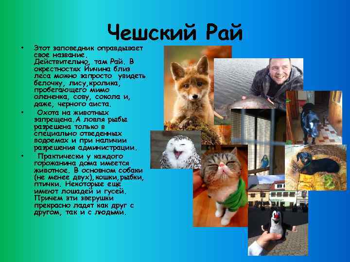 • • • Чешский Рай Этот заповедник оправдывает свое название. Действительно, там Рай.