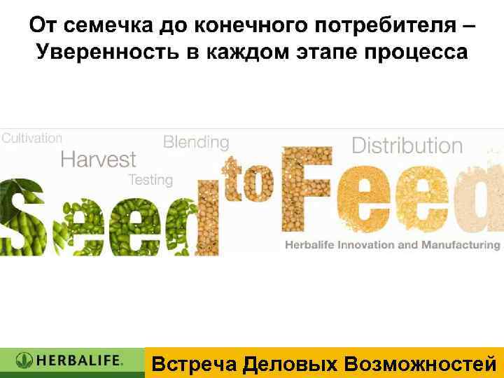 Встреча Деловых Возможностей 