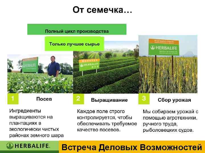 Встреча Деловых Возможностей 