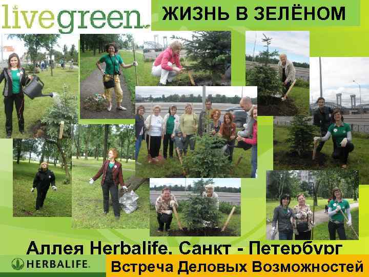 ЖИЗНЬ В ЗЕЛЁНОМ Аллея Herbalife, Санкт - Петербург Встреча Деловых Возможностей 29 