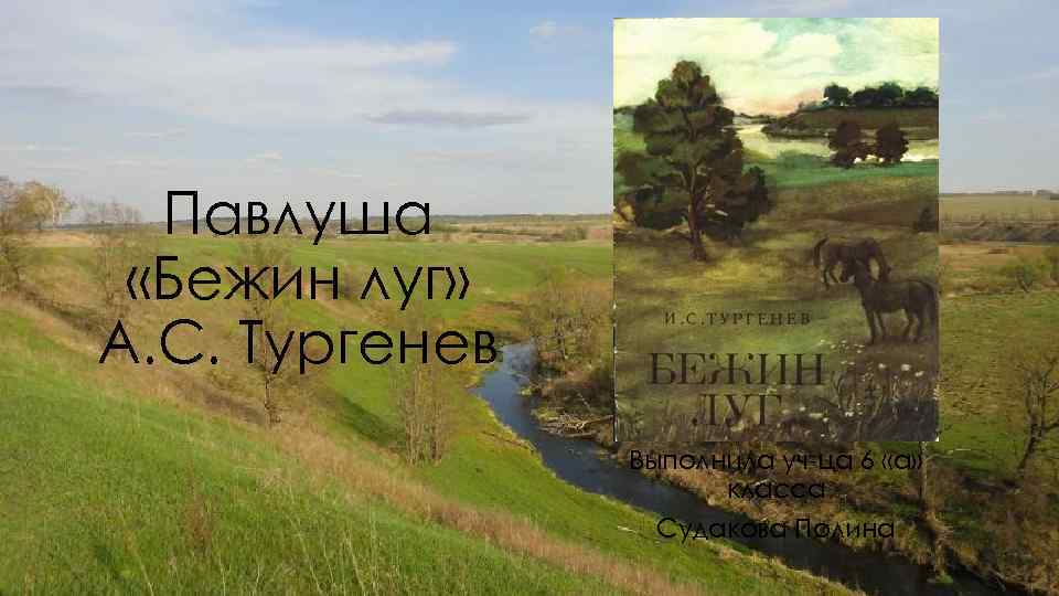 Павлуша «Бежин луг» А. С. Тургенев Выполнила уч-ца 6 «а» класса Судакова Полина 