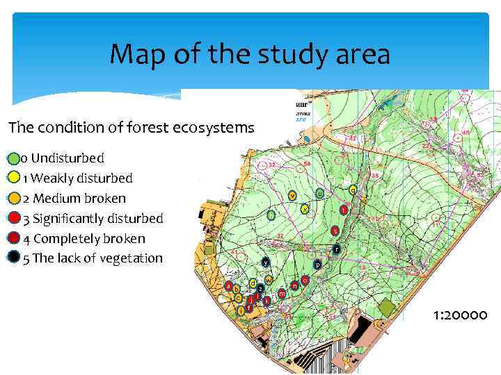 Map of the study area The condition of forest ecosystems 0 Undisturbed 1 Weakly