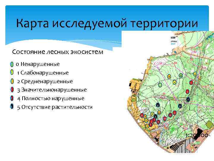 Карта исcледуемой территории Состояние лесных экосистем 0 Ненарушенные 1 Слабонарушенные 2 Средненарушенные 3 Значительнонарушенные