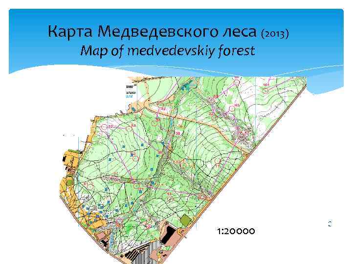 Карта Медведевского леса (2013) Map of medvedevskiy forest 1 3 Рис. Медведевский лес 1: