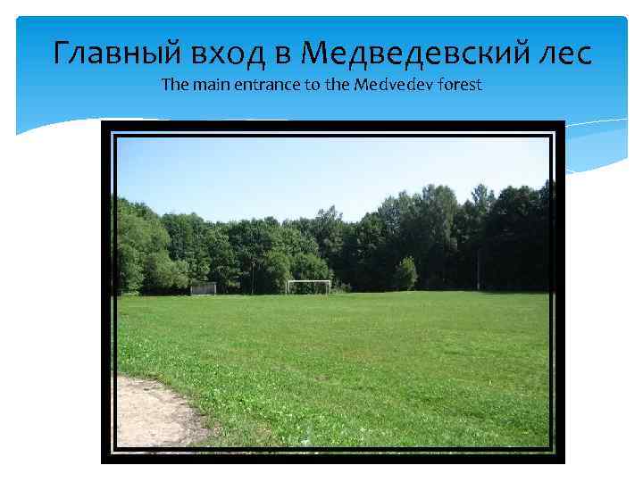 Главный вход в Медведевский лес The main entrance to the Medvedev forest 