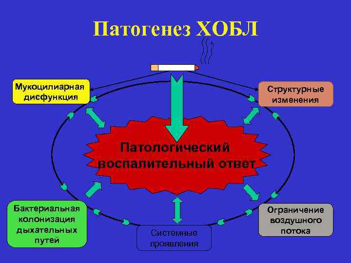 Патогенез ХОБЛ Мукоцилиарная дисфункция Структурные изменения Патологический воспалительный ответ Бактериальная колонизация дыхательных путей Системные