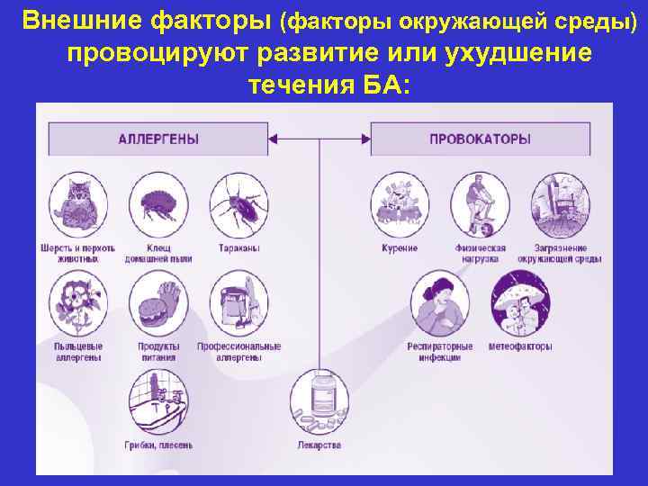 Внешние факторы (факторы окружающей среды) провоцируют развитие или ухудшение течения БА: 