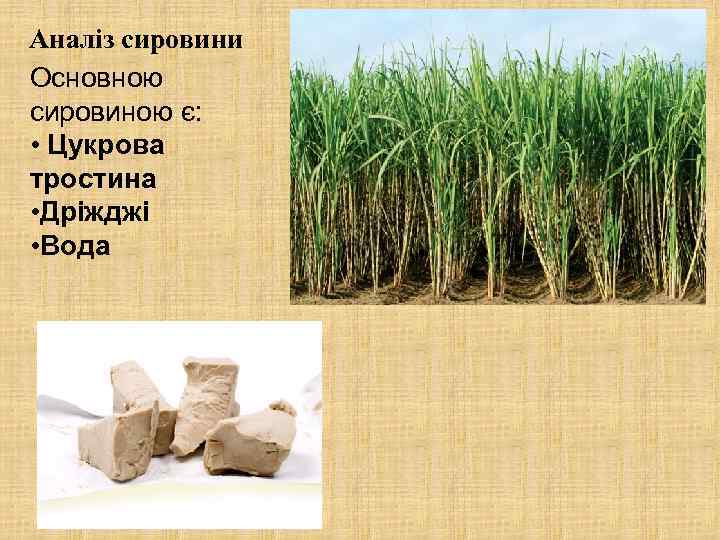 Аналіз сировини Основною сировиною є: • Цукрова тростина • Дріжджі • Вода 