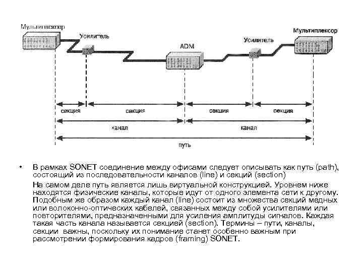  • В рамках SONET соединение между офисами следует описывать как путь (раth), состоящий